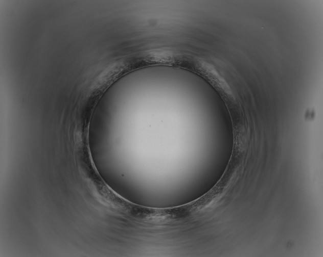 X0000090430213200708031137