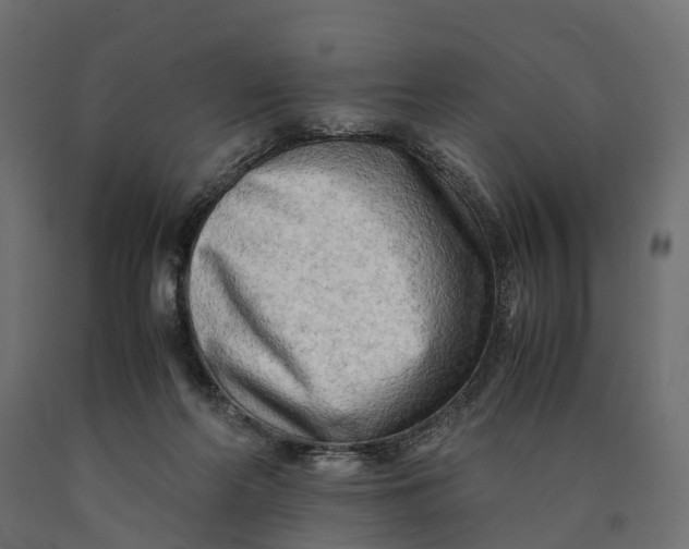 X0000090430214200708031137