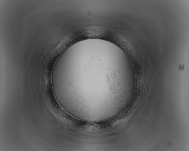 X0000090430215200708031137