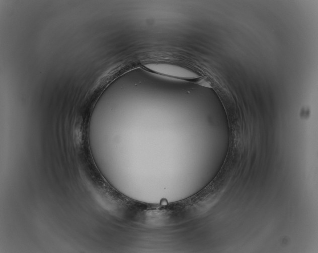 X0000090430216200708031137