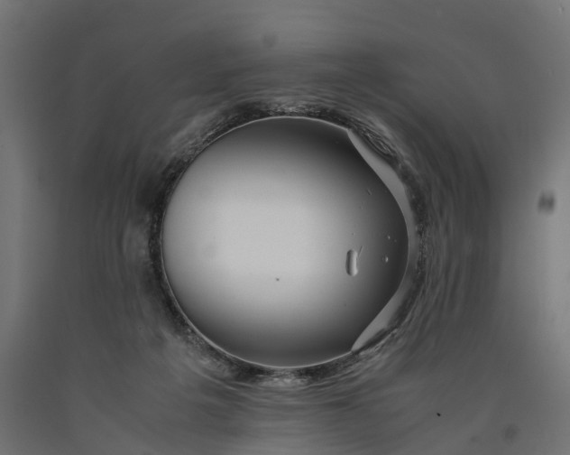 X0000090430217200708031137