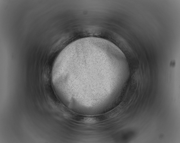 X0000090430218200708031137