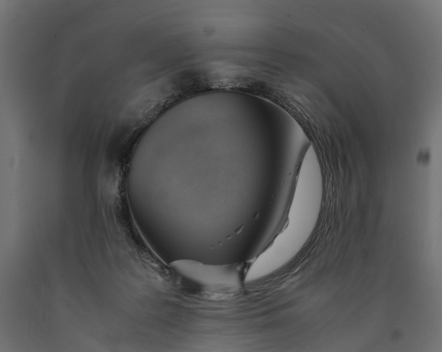 X0000090430219200708031137
