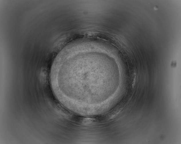 X0000090430222200708031137