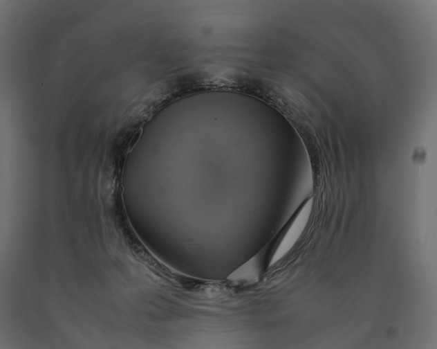 X0000090430223200708031137
