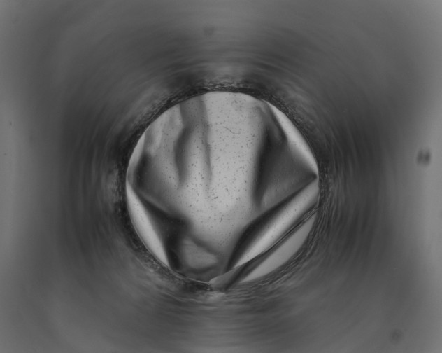 X0000090430224200708031137