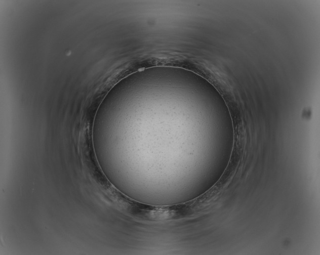 X0000090430225200708031137