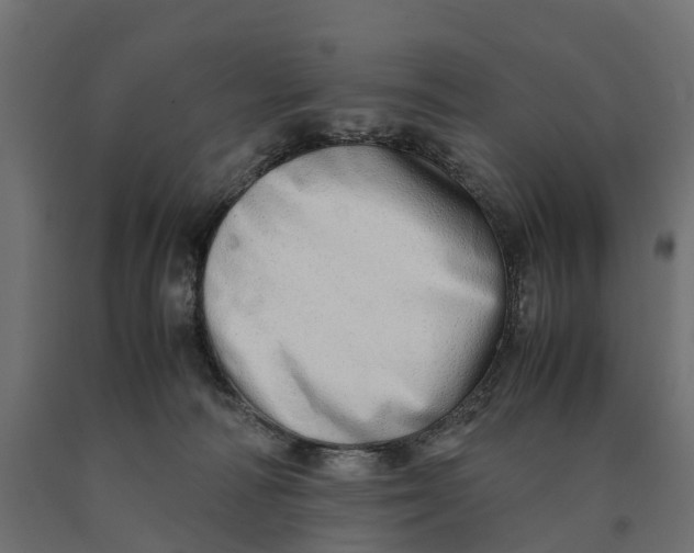 X0000090430226200708031137
