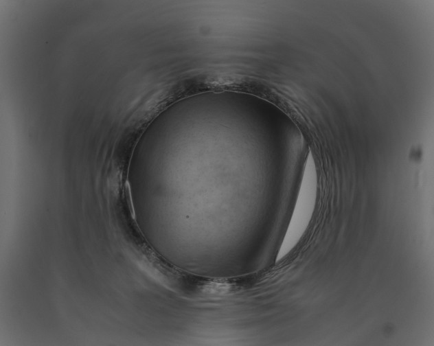 X0000090430227200708031137