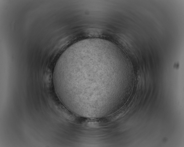 X0000090430228200708031137