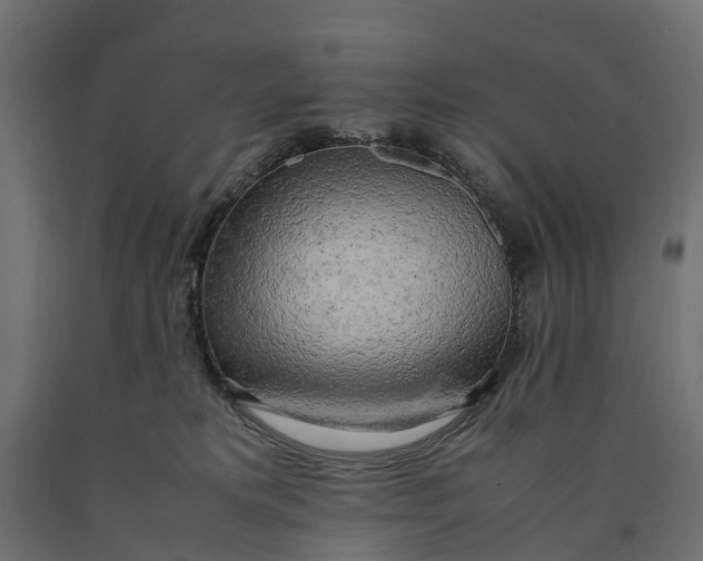 X0000090430229200708031137