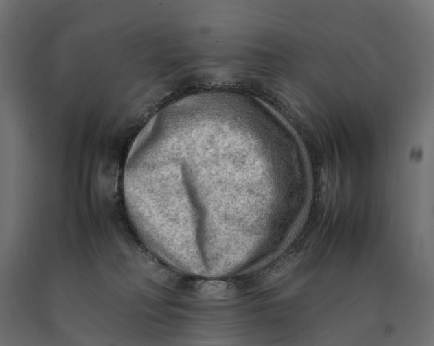 X0000090430230200708031137