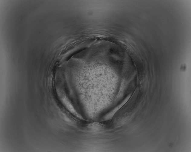 X0000090430231200708031137