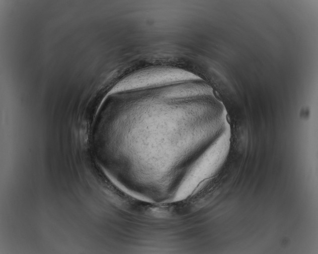 X0000090430232200708031137