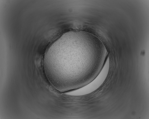 X0000090430233200708031137