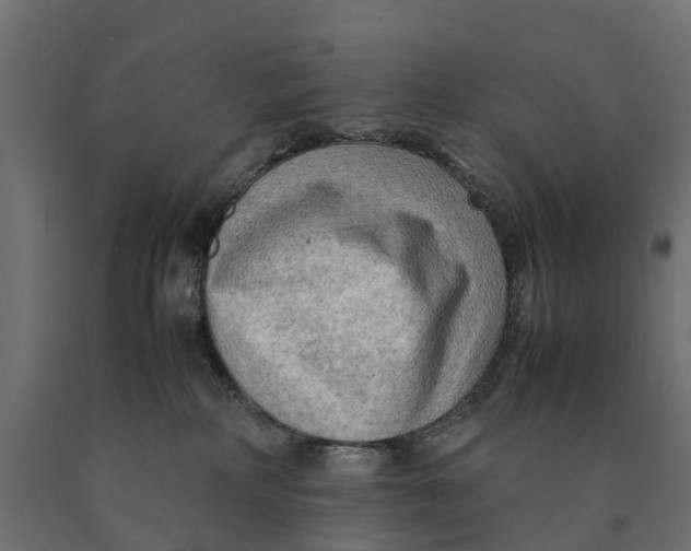 X0000090430234200708031137