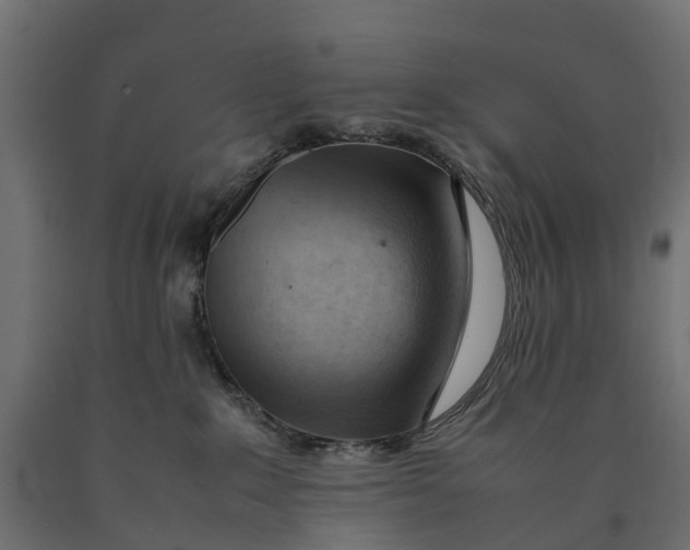 X0000090430235200708031137