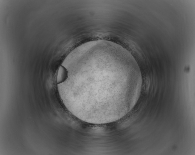 X0000090430236200708031137