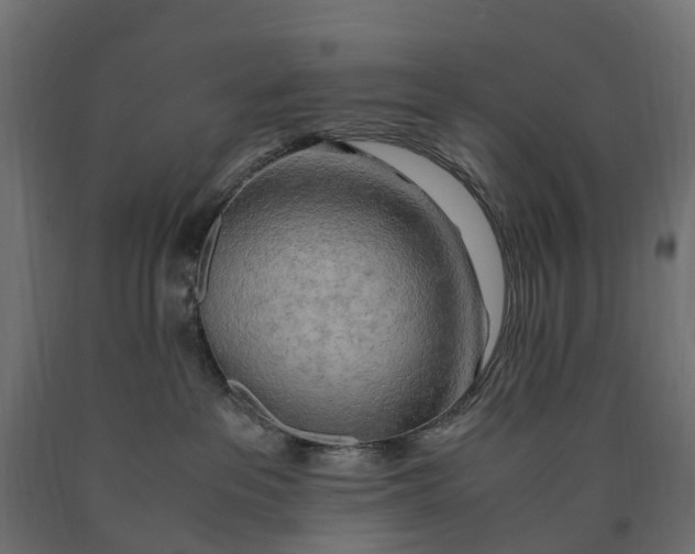 X0000090430237200708031137