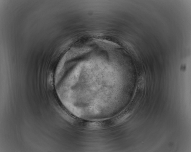 X0000090430238200708031137