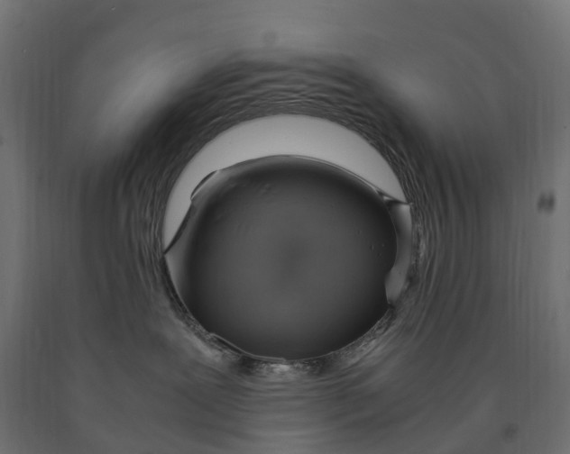 X0000090430239200708031137