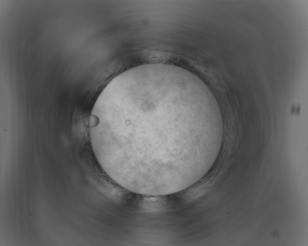 X0000090430240200708031137