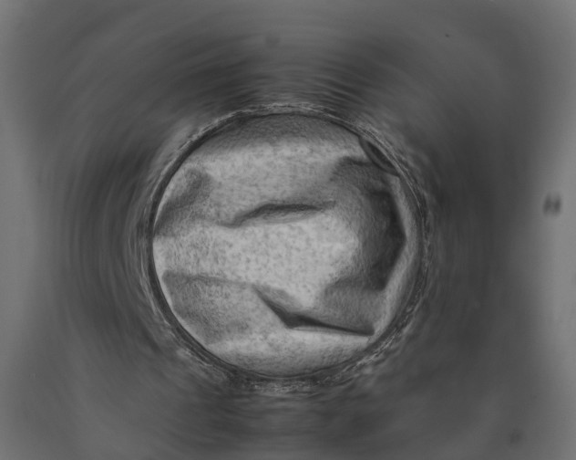 X0000090430241200708031136