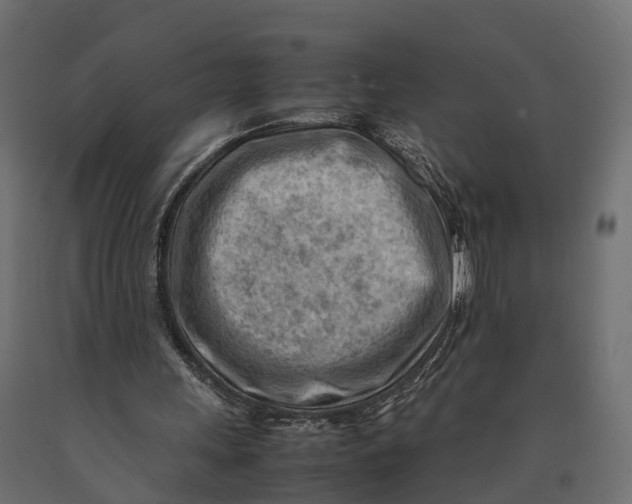 X0000090430243200708031136