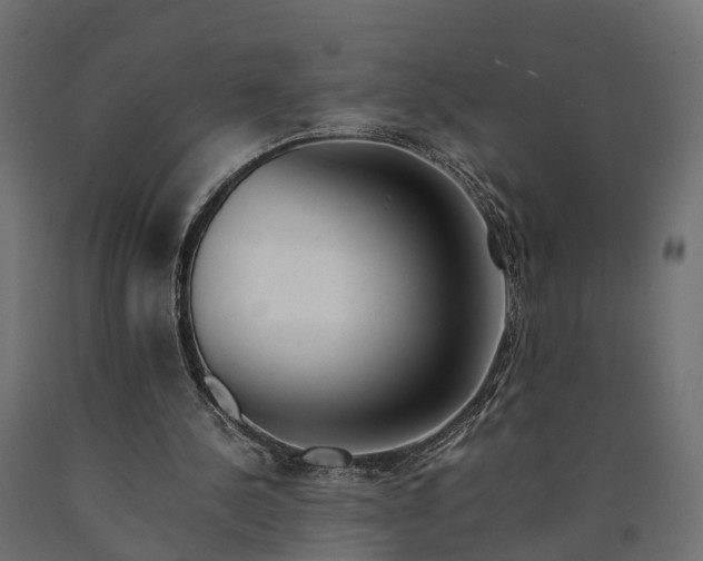 X0000090430244200708031136