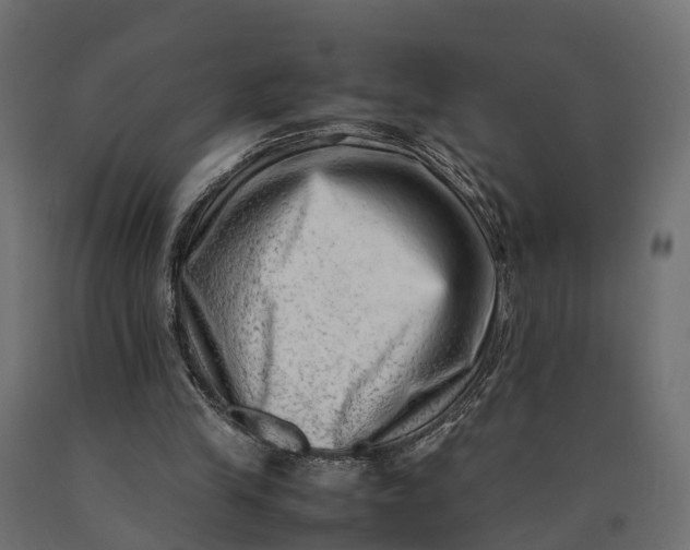 X0000090430245200708031136