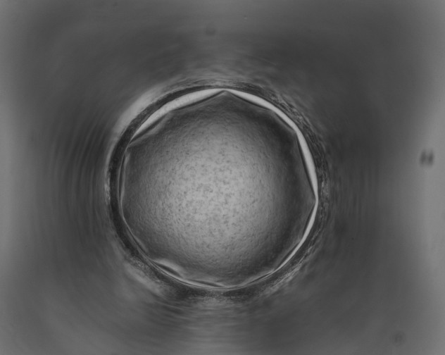 X0000090430246200708031136