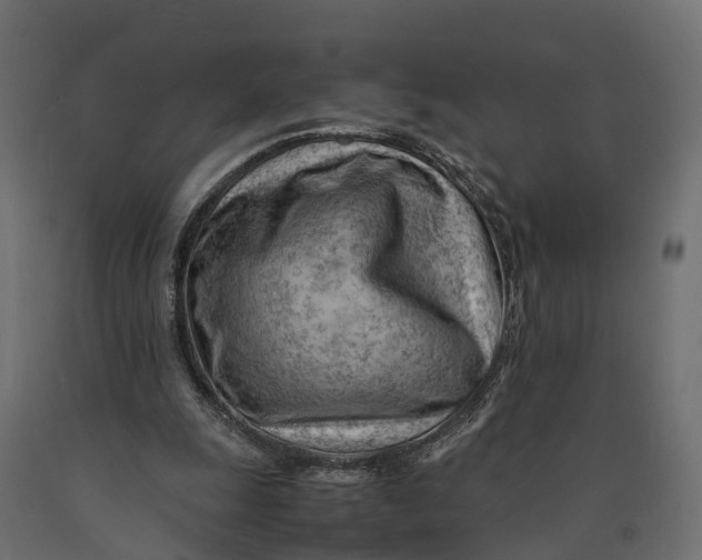 X0000090430247200708031136