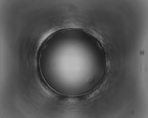 X0000090430248200708031136