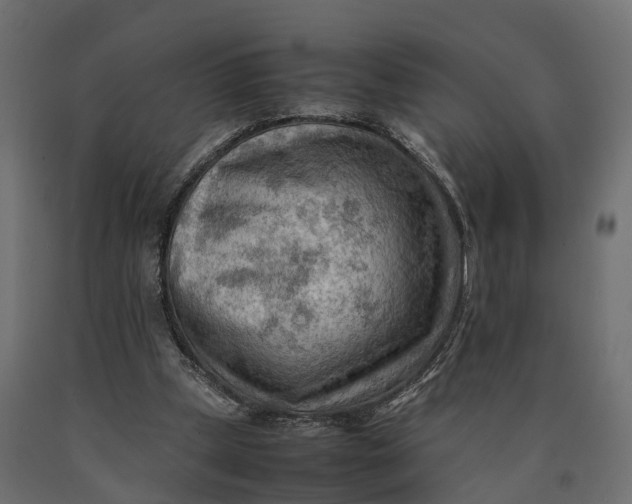 X0000090430249200708031136