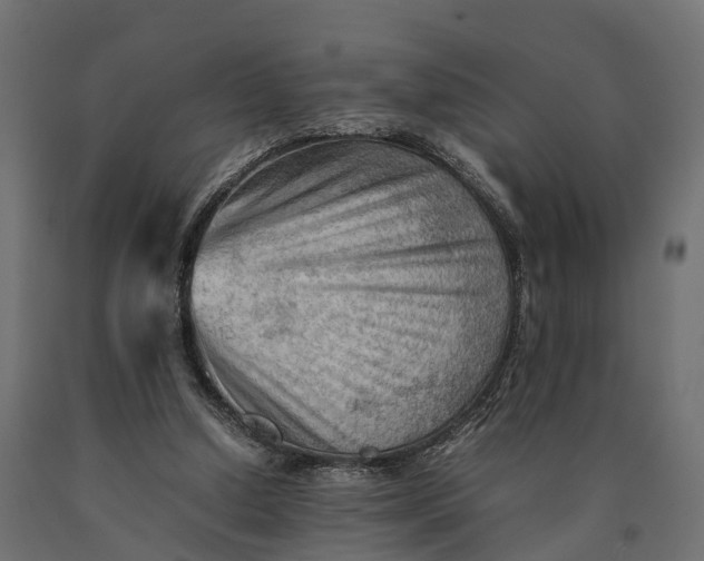 X0000090430250200708031136