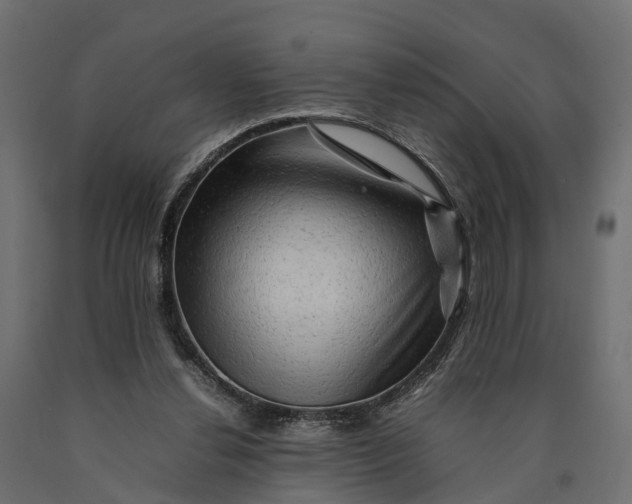 X0000090430252200708031136