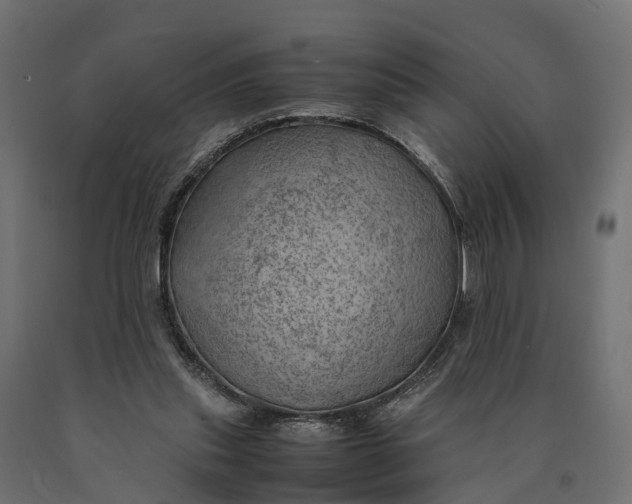 X0000090430253200708031136