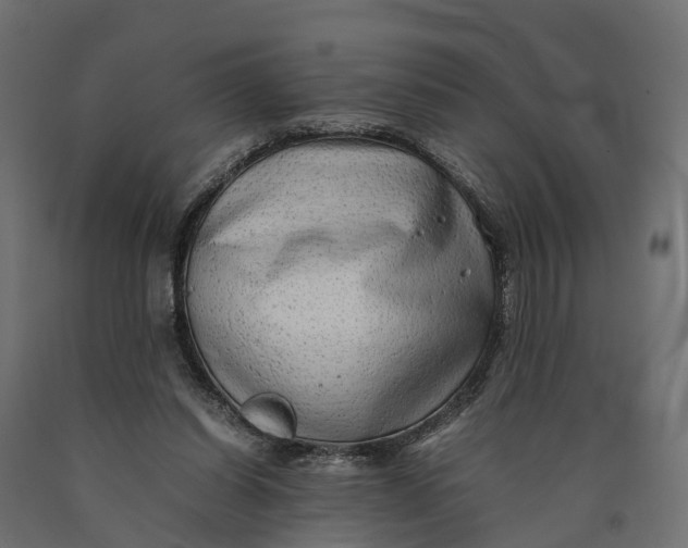 X0000090430254200708031136