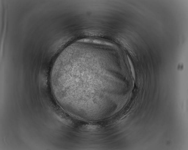 X0000090430255200708031136