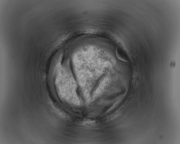 X0000090430257200708031136