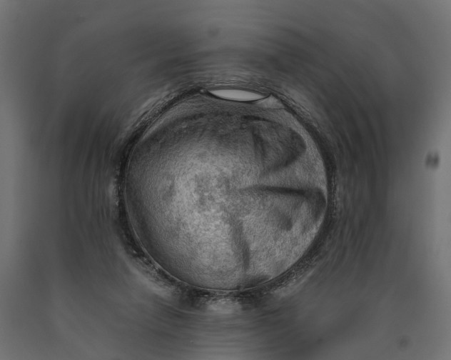 X0000090430258200708031136