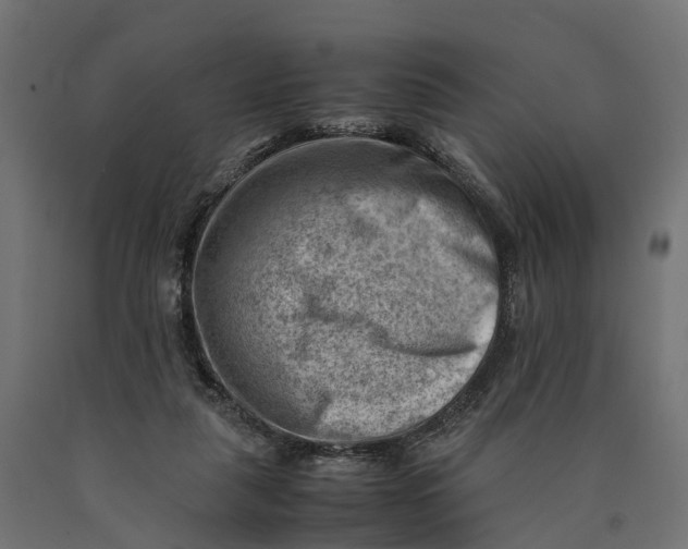 X0000090430259200708031136