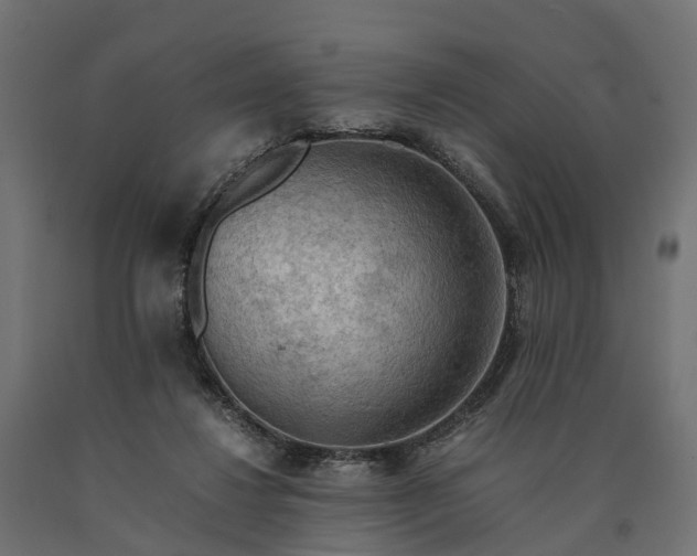 X0000090430260200708031136