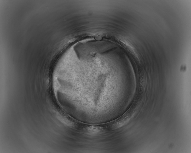 X0000090430261200708031136