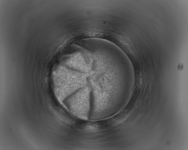 X0000090430263200708031136