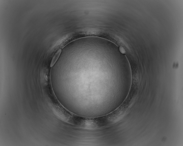 X0000090430264200708031136