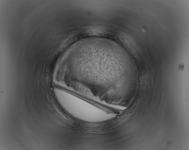 X0000090430265200708031136