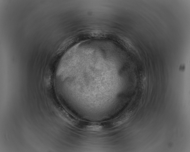 X0000090430266200708031136