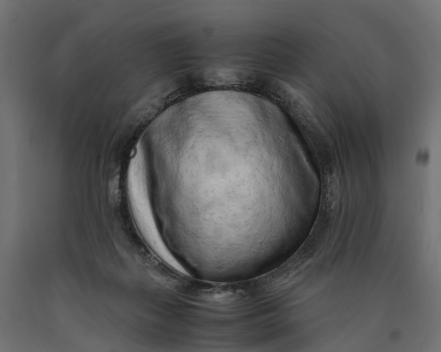 X0000090430267200708031136