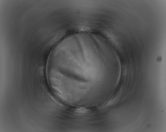 X0000090430269200708031136